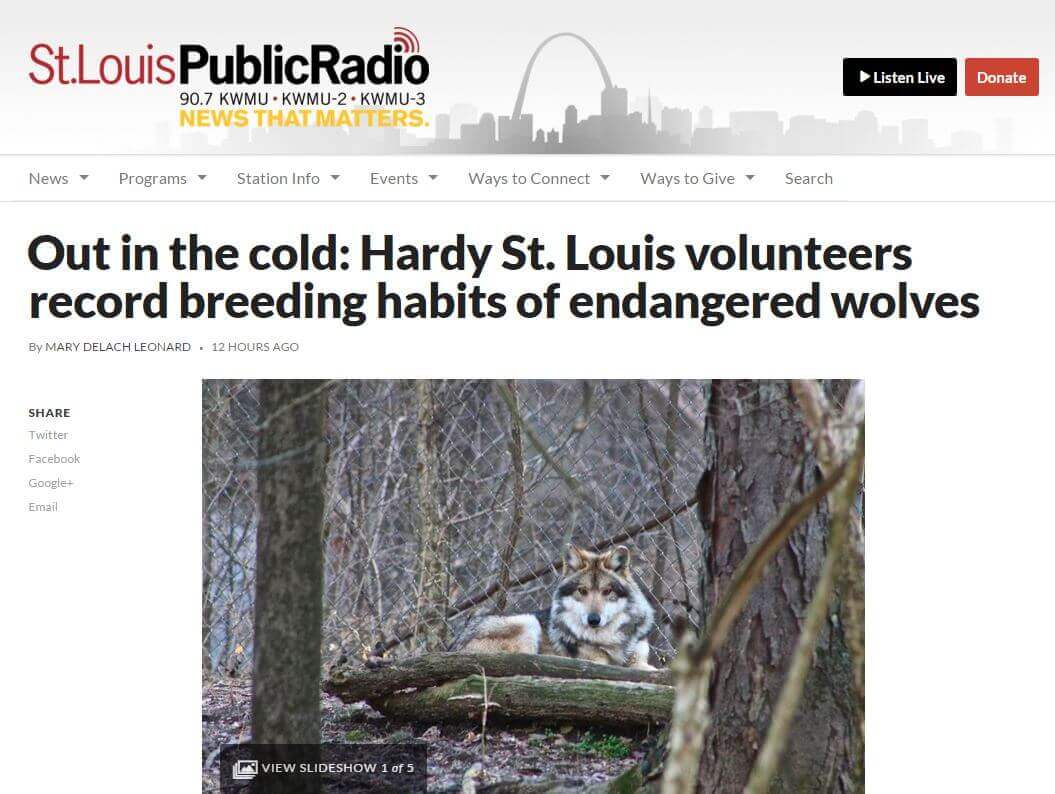 NPR report 2 19 16