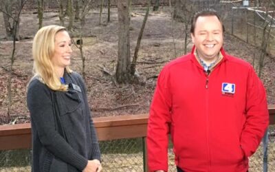 Watch us on ‘Great Day St. Louis’