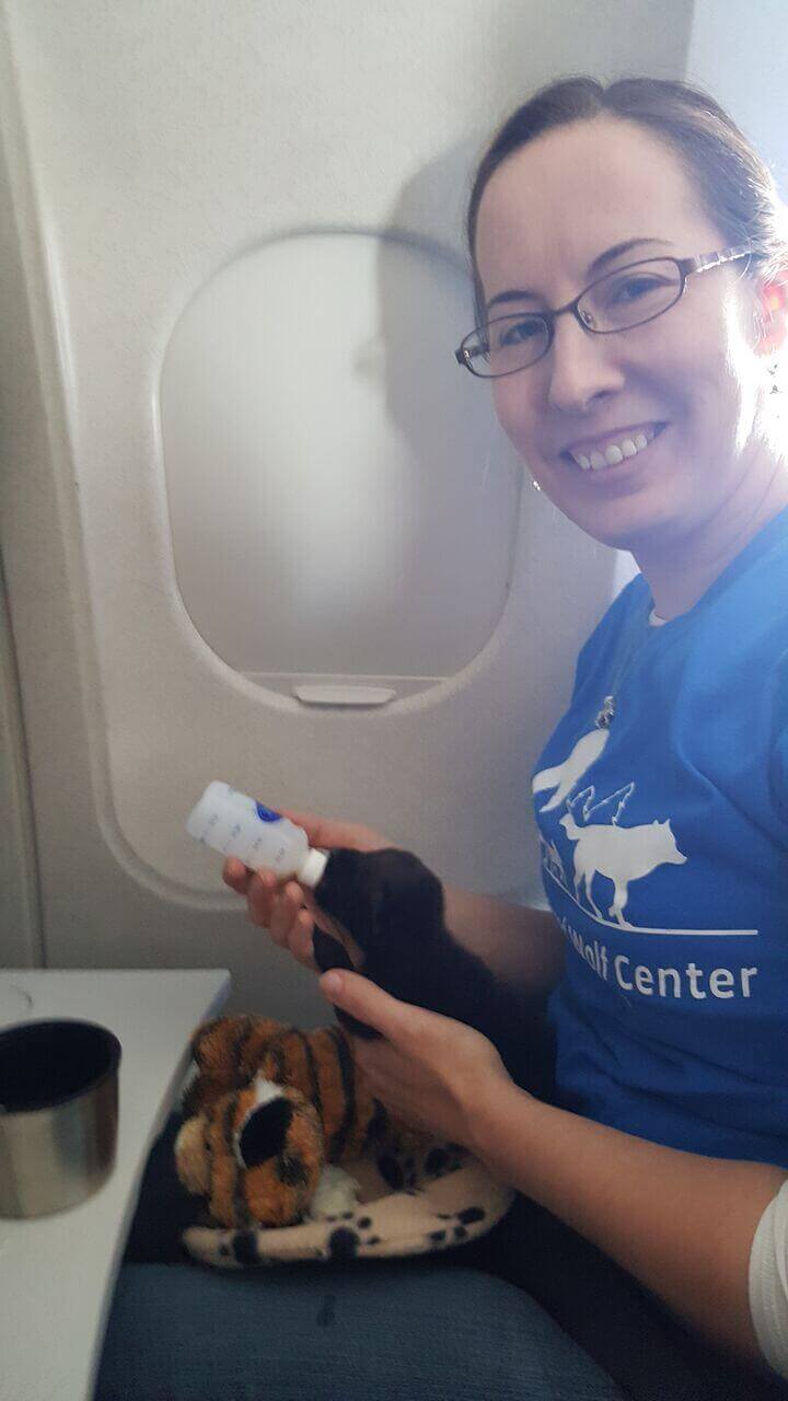 Regina and Lucky on plane