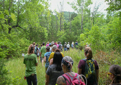 Celebrate National Public Lands Day with our Fall Hike