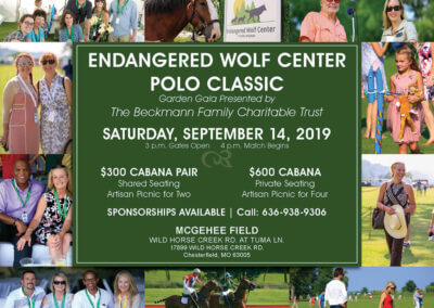 Join our 2019 Polo Benefit