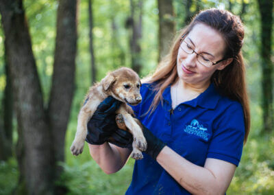 PUPDATE: Welcome Our Latest Additions to Our Pack!