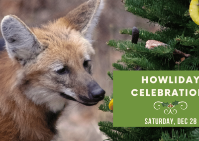 Howliday Celebration on December 28