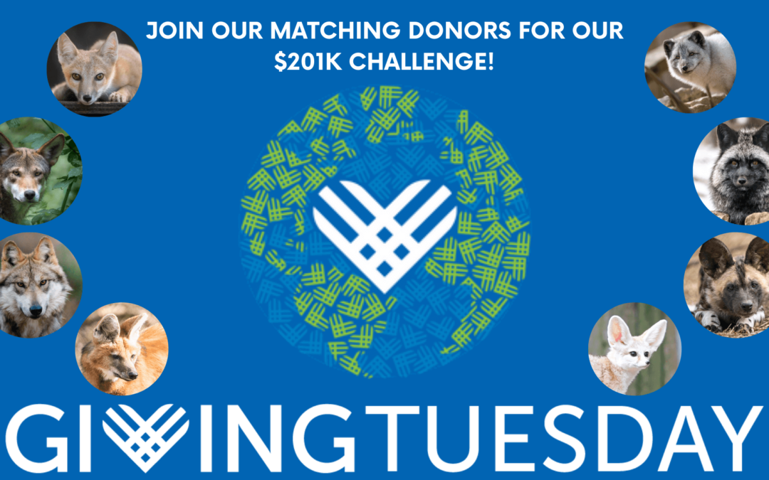 Giving Tuesday 2019