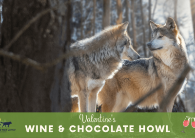 Valentine’s Wine & Chocolate Howl