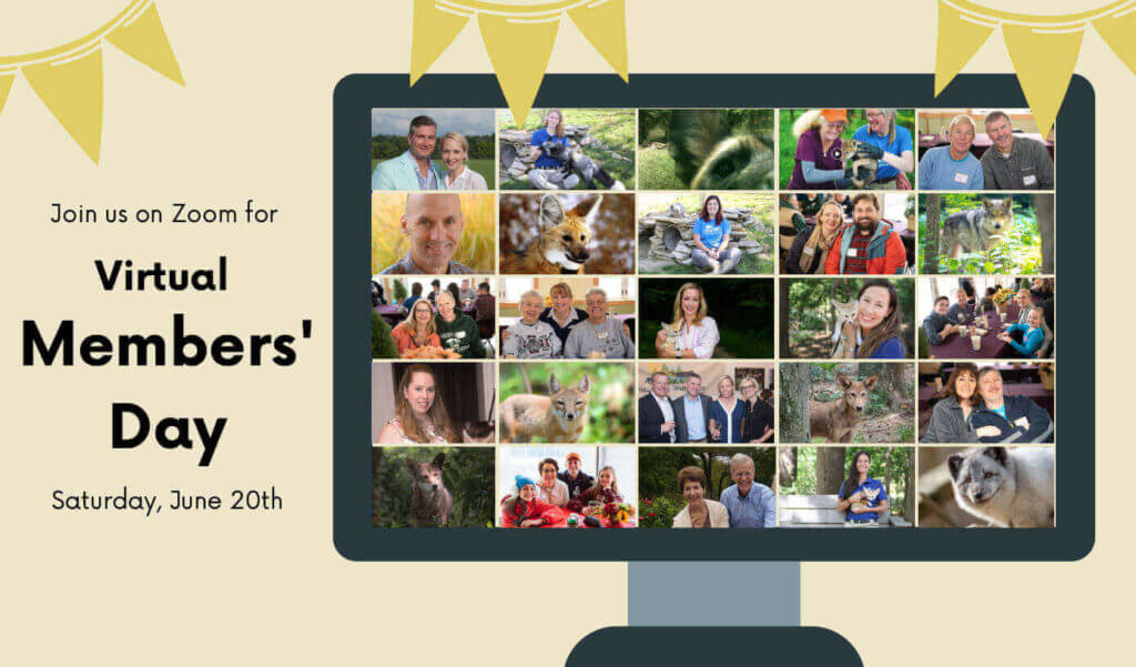 Virtual Member's Day
