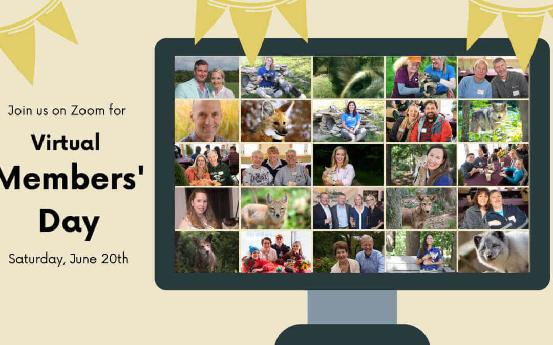 You’re Invited: Virtual Members’ Day June 20th