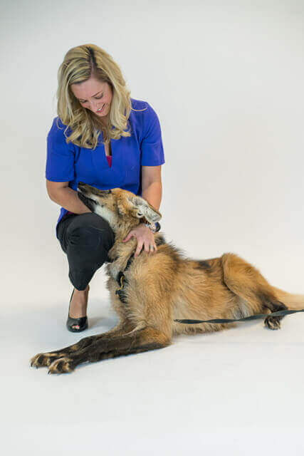 Virginia Busch sits with Lucky the maned wolf in a studio.
