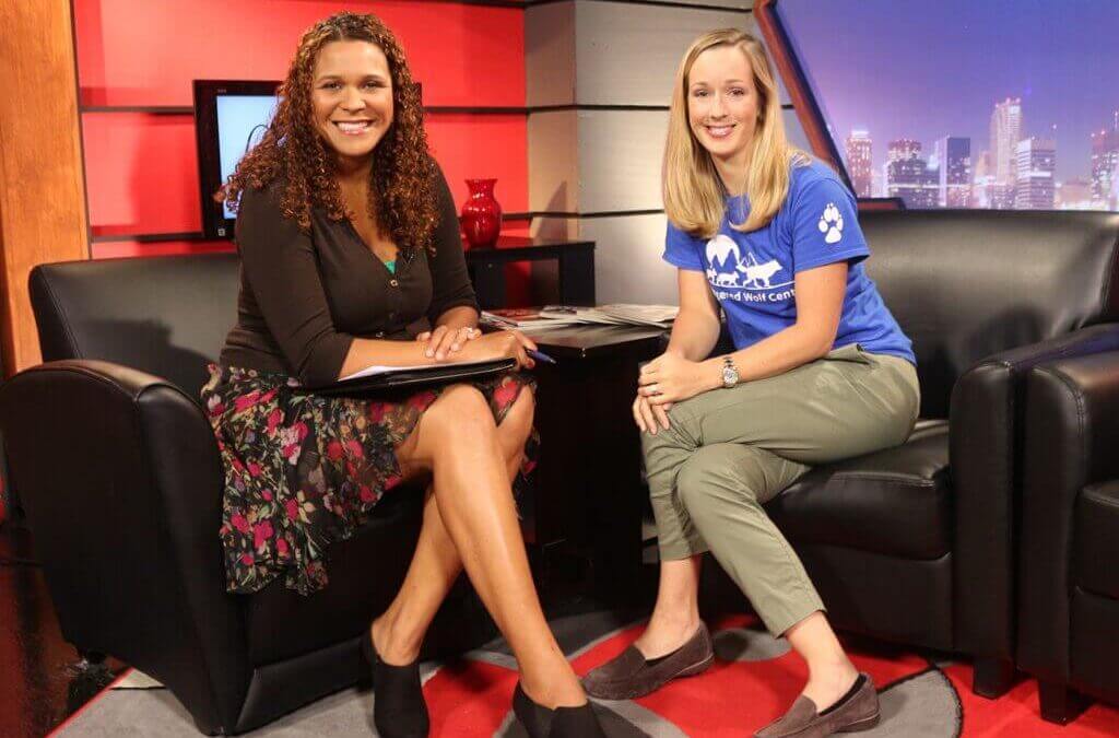 Executive Director Virginia Busch on ‘STL Live’