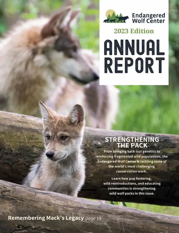 2023-magazine-cover