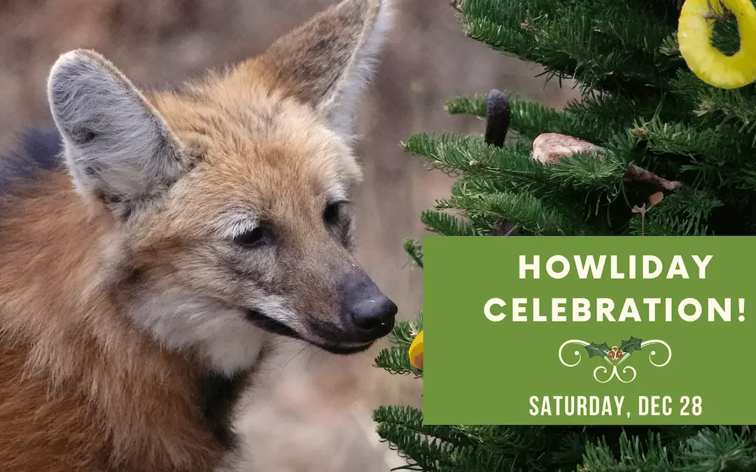 Howliday Celebration on December 28