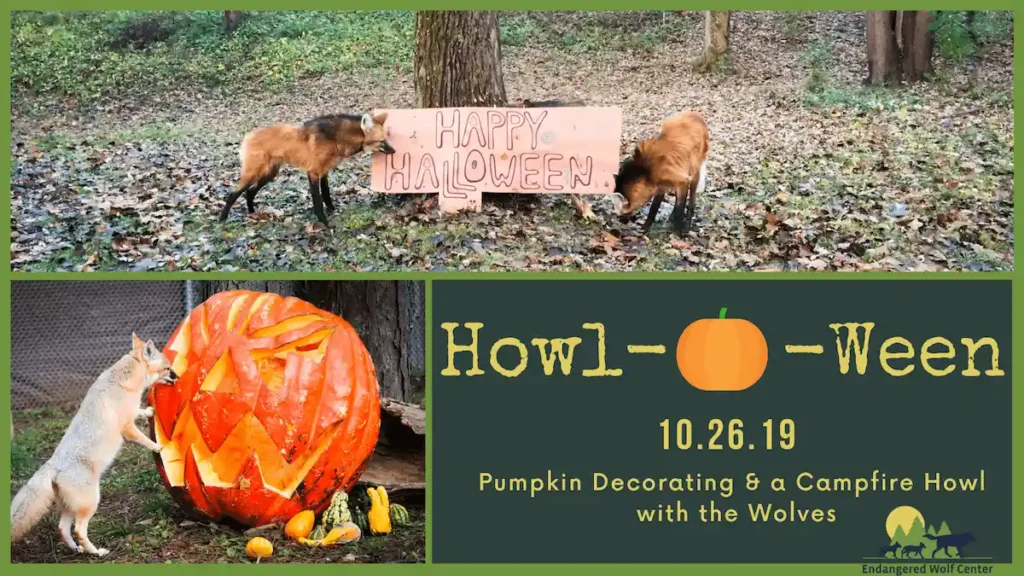 Howl-O-Ween-2019