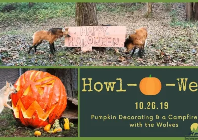 Join us for Howl-o-Ween!