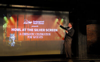 Recap: Howl at the Silver Screen
