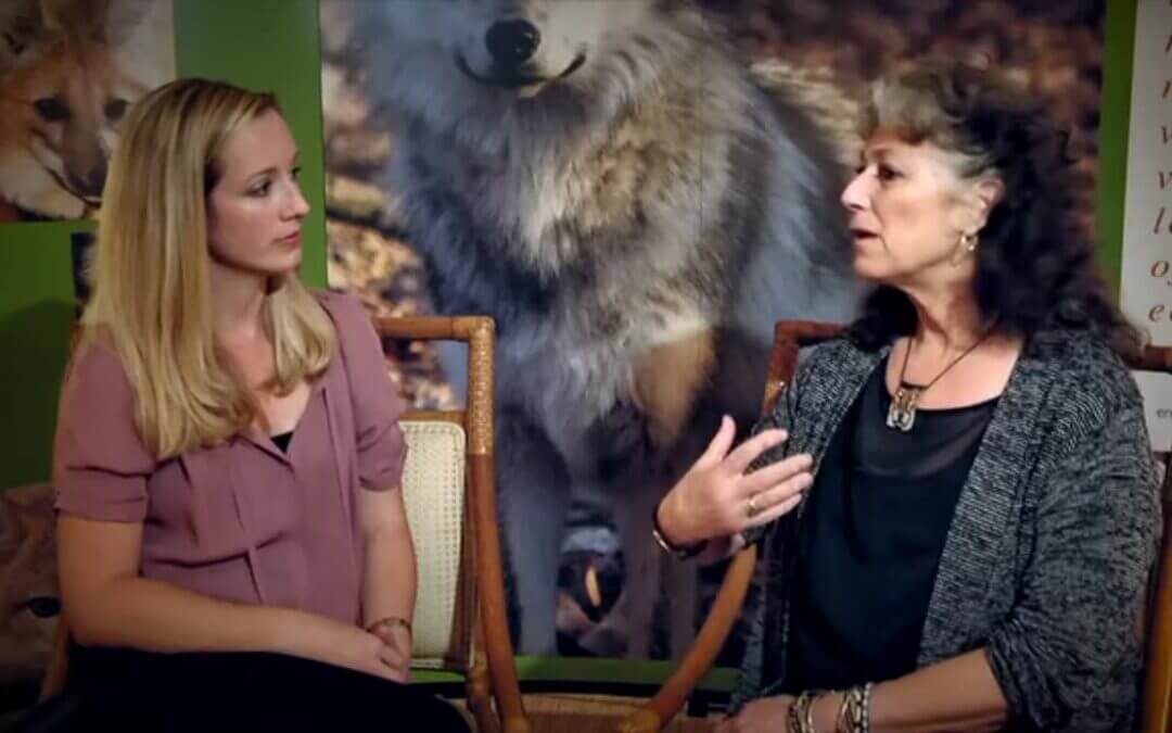 Laurie Marker Videos
