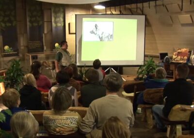 Painted dogs – relationship in a pack