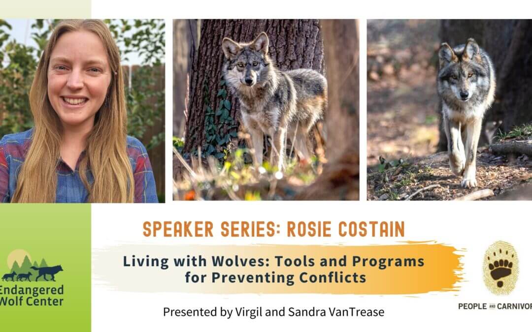Living with Wolves — Tools and Programs for Preventing Conflicts