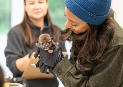Endangered Wolf Center featured on Mutual of Omaha’s Wild Kingdom
