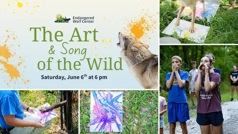 art and song of the wild