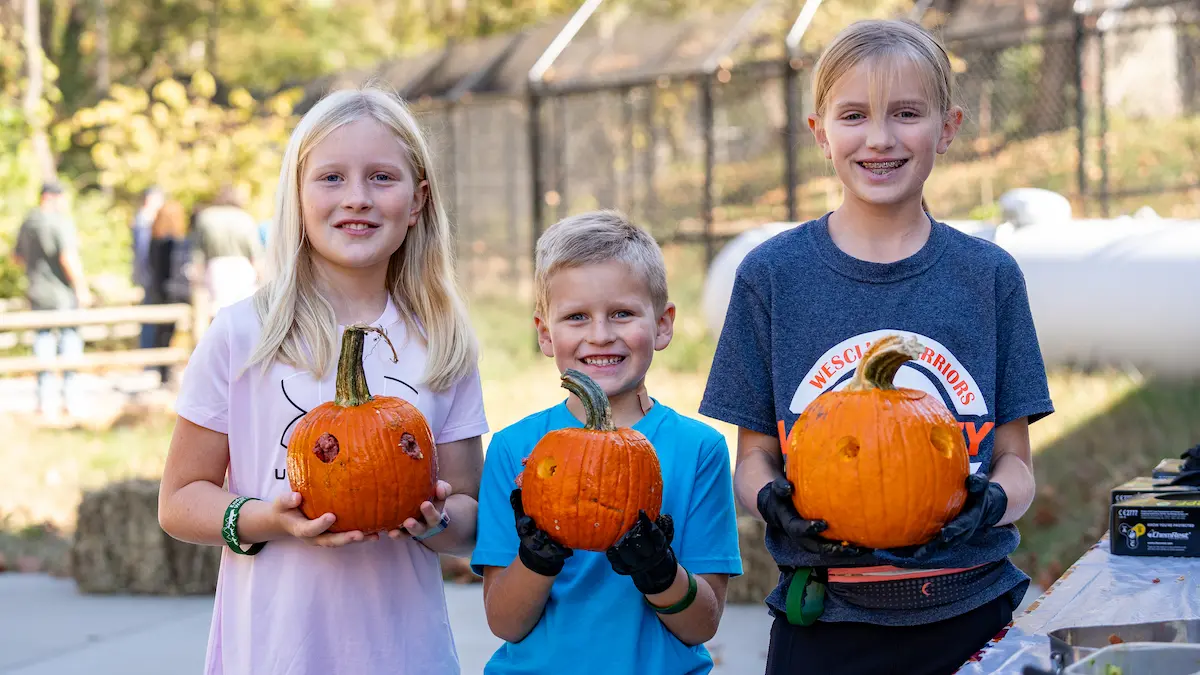 wolf fest pumpkins